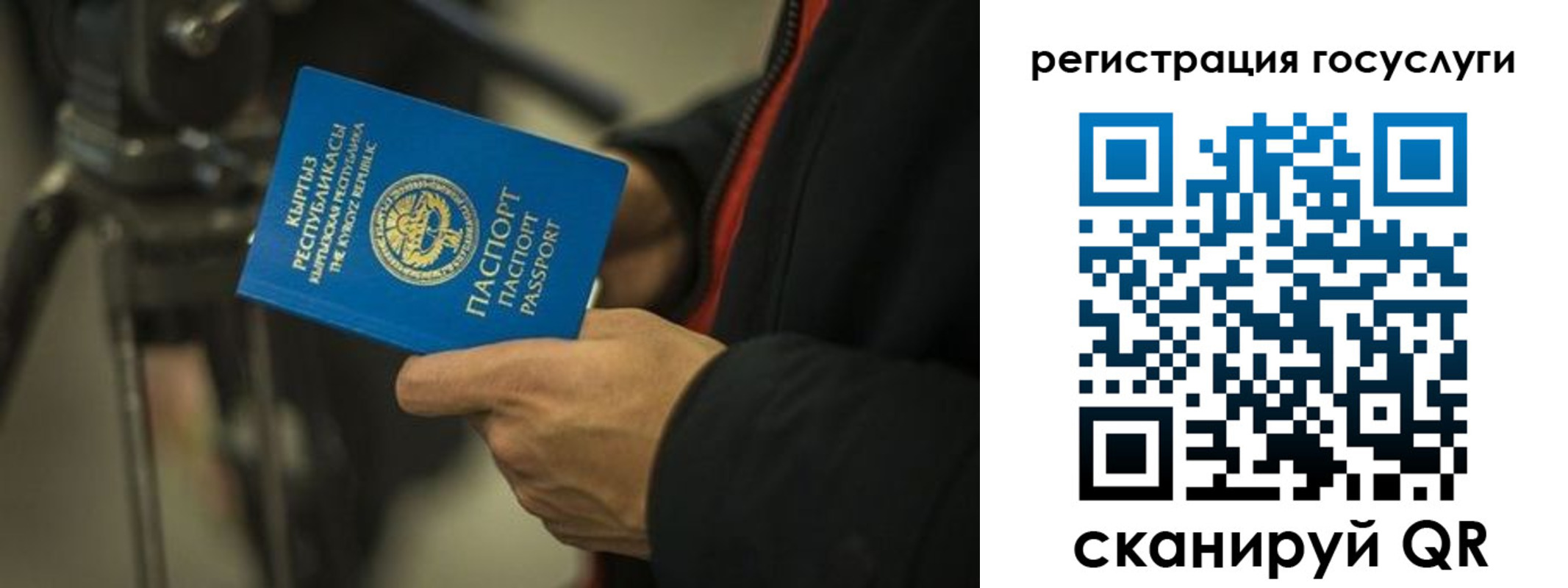 регистрация в Михайловке